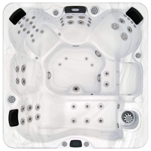Avalon-X EC-867LX hot tubs for sale in Gastonia